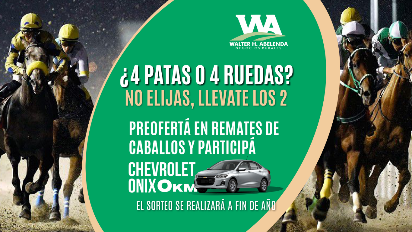 4 patas o 4 ruedas